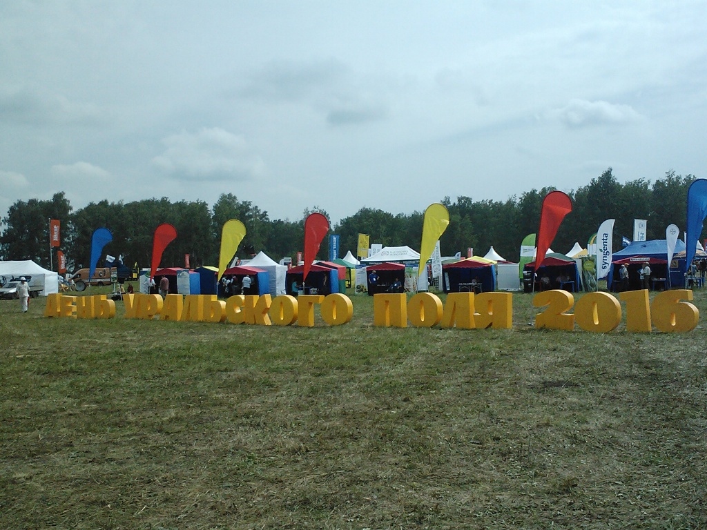 IMG1937.jpg